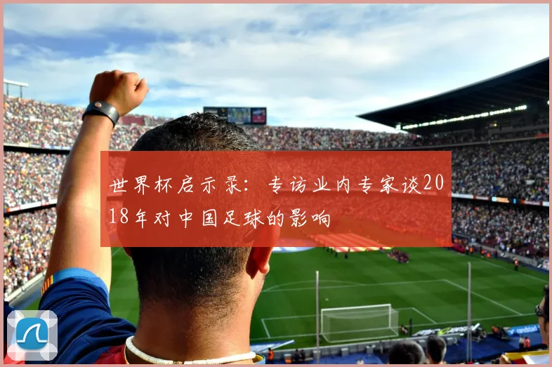 世界杯启示录：专访业内专家谈2018年对中国足球的影响