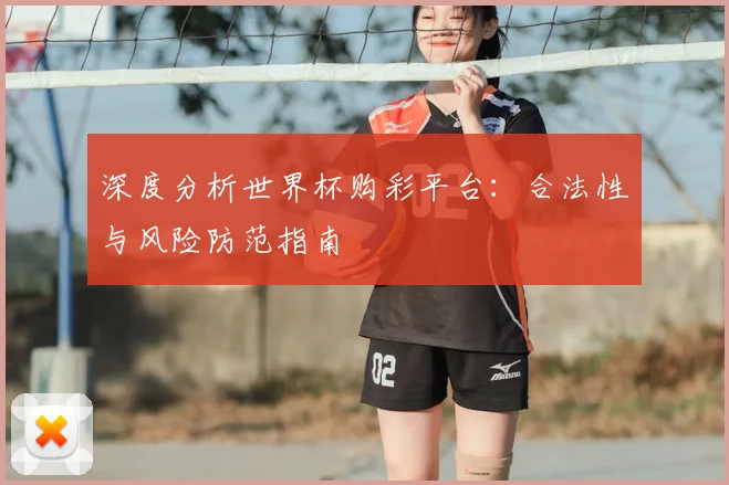 深度分析世界杯购彩平台：合法性与风险防范指南