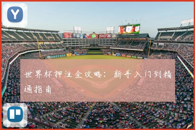 世界杯押注全攻略：新手入门到精通指南