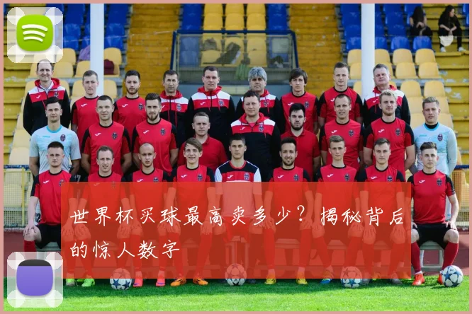 世界杯买球最高卖多少？揭秘背后的惊人数字