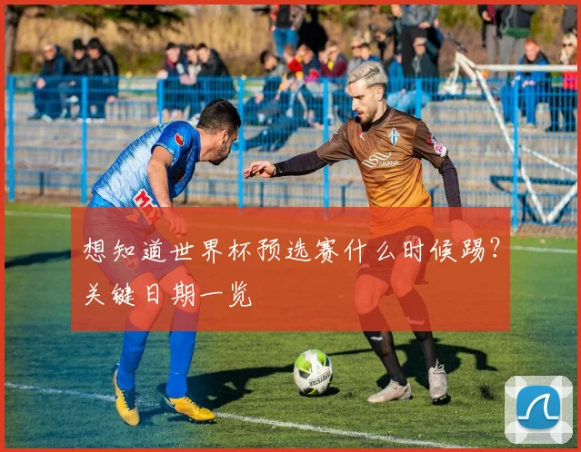 想知道世界杯预选赛什么时候踢？关键日期一览