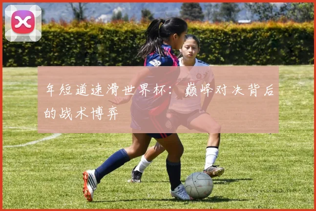 年短道速滑世界杯：巅峰对决背后的战术博弈