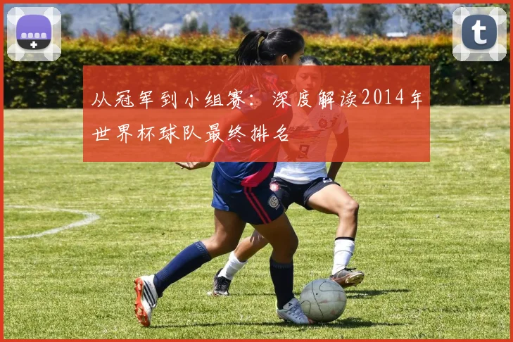 从冠军到小组赛：深度解读2014年世界杯球队最终排名