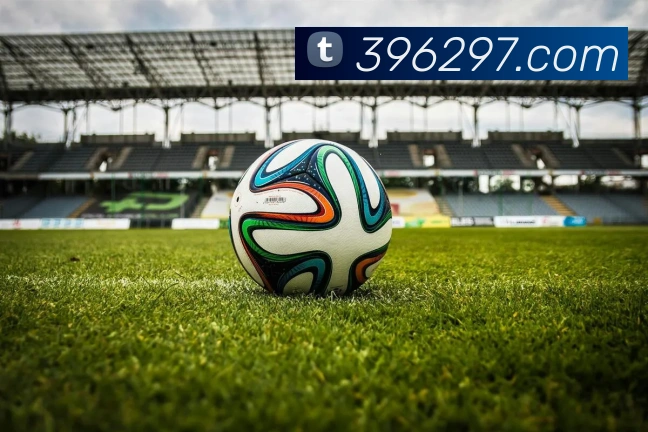 mksports官网登录入口发展历程
